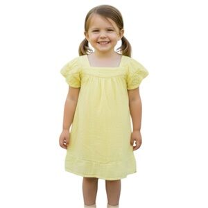 Art Class Girl’s Size 4T Yellow Flutter Sleeve Embroidered Dress